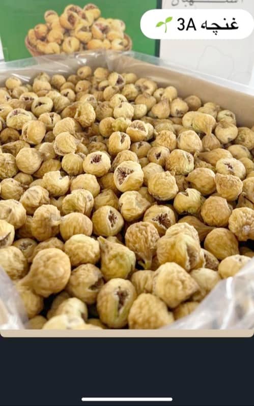 فروش ویژه انجیر غنچه سه آ + قیمت قبل